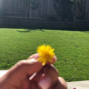 Meet your Posher, Elvie